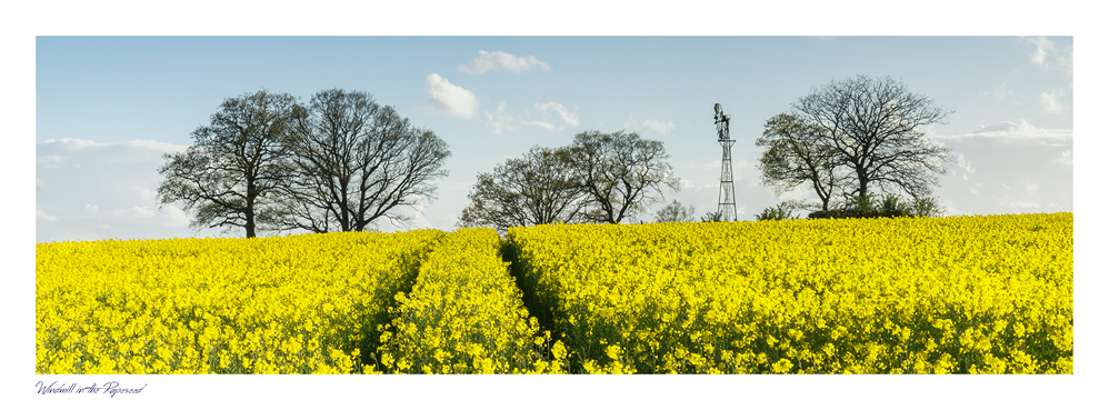 images from wales - Ian Nicholson Photography - Builth Wells